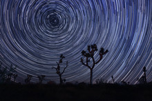 Star Trails And Milky Way In Joshua Tree National Park