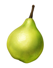 Green Pear Of Illustration On White Background