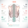 Human bone Infographics