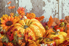 Autumn Display With A Squash And Decorative Gourds And Flowers