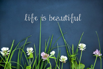 motivational quote LIFE IS BEAUTIFUL on black background flowers