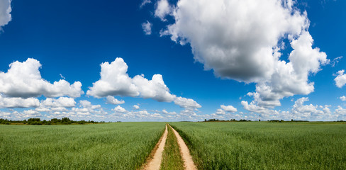 Wall Mural - Summer panorama