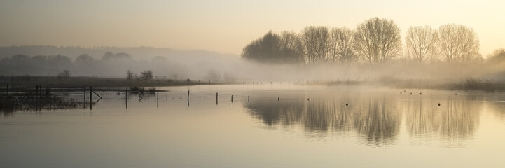 Wall Mural - Panorama landscape of lake in mist with sun glow at sunrise