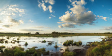Summer Sunset Panorama Landscape Over Wetlands