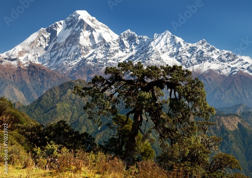 Fotoboard na płycie Widok z góry dhaulagiri - Nepal