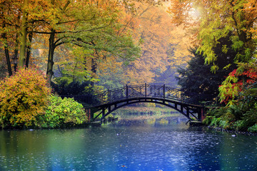Poster - Autumn - Old bridge in autumn misty park