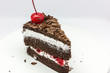 isolated chocolate cake