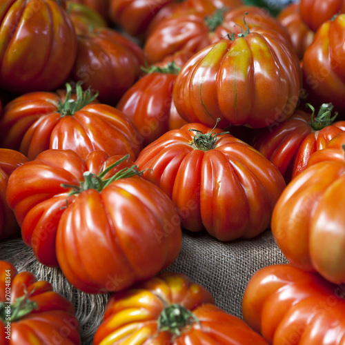 Tapeta ścienna Lufa farms pomidor befsztyk. 