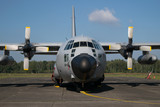 Fototapeta  - Avion de transport - C130