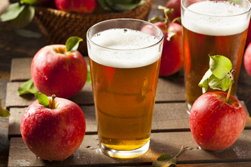 Hard Apple Cider Ale