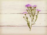 Fototapeta Lawenda - flower  on wooden table near wall