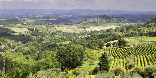 Obraz na płótnie canvas czteroczęściowy "tetraptyk" Val di cornia, Toskania, panorama. 