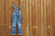 Pair of denim dungarees hanging against wooden wall.