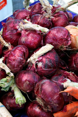 Wall Mural - fresh organic red onions