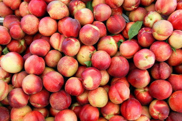 fresh organic ripe white nectarines