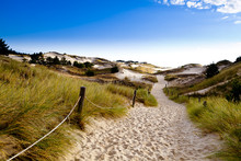 Sand Dunes On The Baltic Coast In The Morning