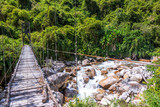 Fototapeta Most - Suspension Bridge in Jungle