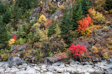 Colorful autumn