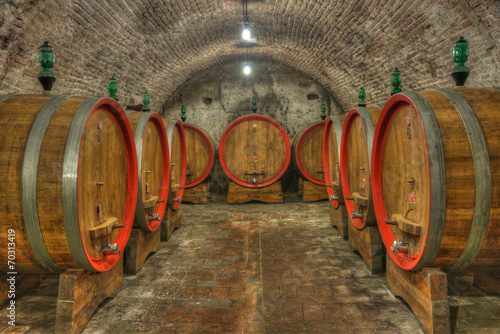 Fototapeta na wymiar Cellar with barrels of wine