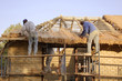 © Helen - Thatchers laying a grass roof
