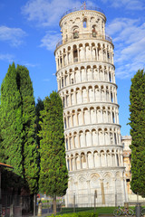 Wall Mural - Pisa