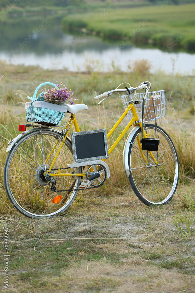 Bicycle in meadow during sunset