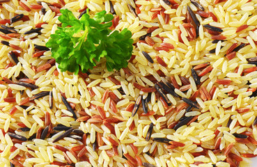 Wall Mural - Mixed rice