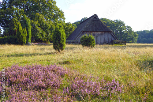 Plakat na papierze fotorealistycznym Heidschnuckenstall Lüneburg Heath