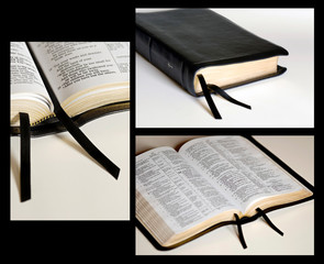 Black Bible Collage, Select Focus