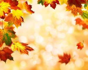 Fototapete - Herbst Bokeh Hintergrund verziert mit buntem Laub