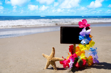 Wall Mural - Nameplate with starfish