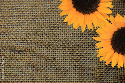 Fototapeta na wymiar Sunflowers on burlap