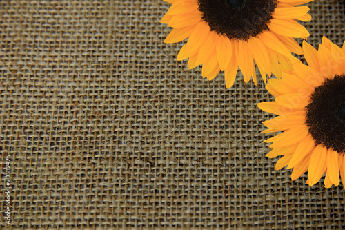 Naklejka na szafę Sunflowers on burlap