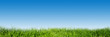 canvas print picture - Green grass on blue clear sky, spring nature theme. Panorama