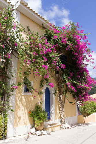 Obraz w ramie Greek house with pink flower