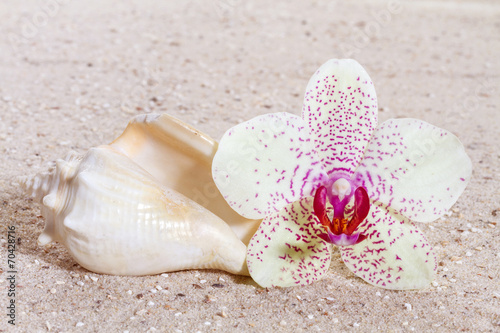 Obraz na płótnie canvas Orchidea z kamieniami zen w piasku