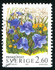 Sticker - flower Bluebell