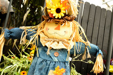 Scarecrows With Flowers And Hay