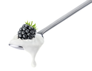 Poster - Isolated yogurt. Spoon of yogurt with blackberry on top isolated on white background, with clipping path