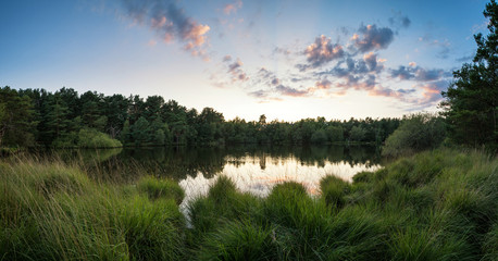 Wall Mural - Summer sunset panorama landscape reflected in calm lake