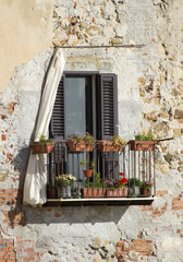 Sticker - Old siclian window