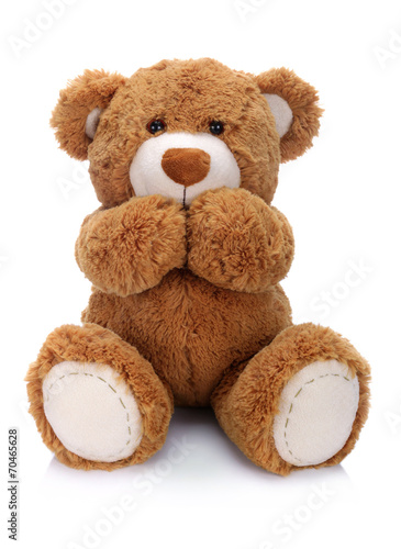 Teddy bear on a white backg...