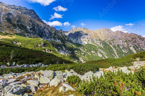 Naklejka samoprzylepna Widok na Tatry ze szlaku. 