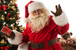 © Milles Studio - Santa Claus sitting near Christmas tree presenting gift box