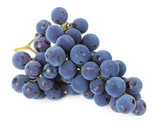 branch of blue grapes on white background