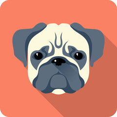 Wall Mural - dog icon flat design