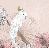 160_f_70498850_8ohtiei0xwvcknefr04sduhq0c1lc9wa