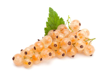 White currant