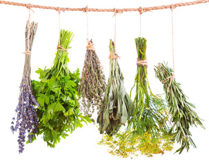 Foto zasłona various fresh herbs hanging