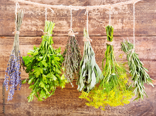 Fototapeta na wymiar various fresh herbs hanging